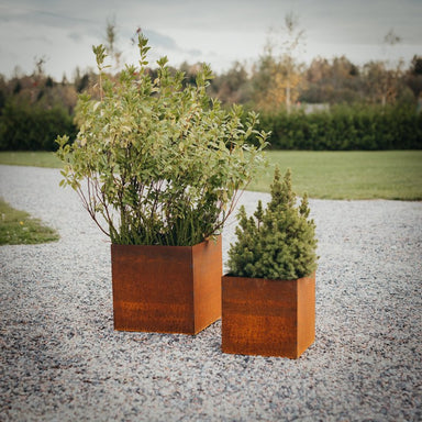 Set of corten steel plants for garden